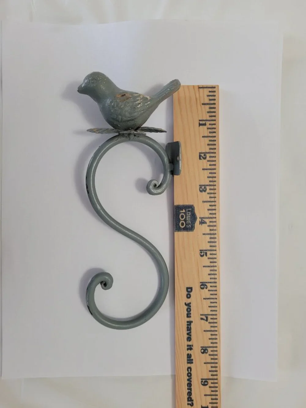 N/A rustic bird